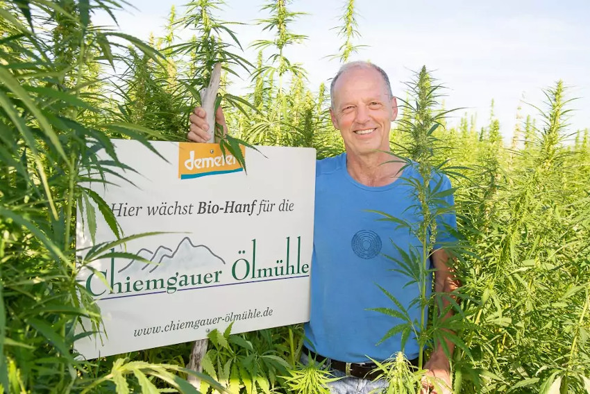 Eigentümer Johann Niedl in einem Hanffeld bei Chieming